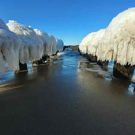 Lucky40 - Z Widokiem Na Morze, Gratis, Dwie Sosny *