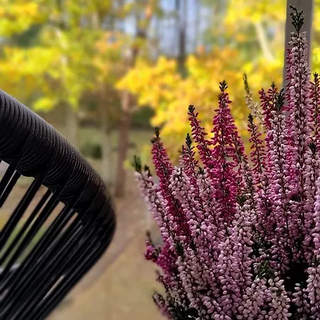 Apartment Lucky40 - Z Widokiem Na Morze, Gratis, Dwie Sosny