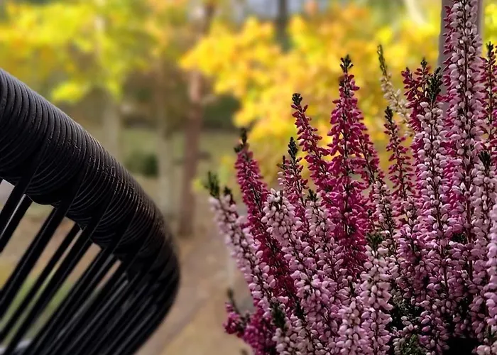 Διαμέρισμα Lucky40 - Z Widokiem Na Morze, Gratis, Dwie Sosny